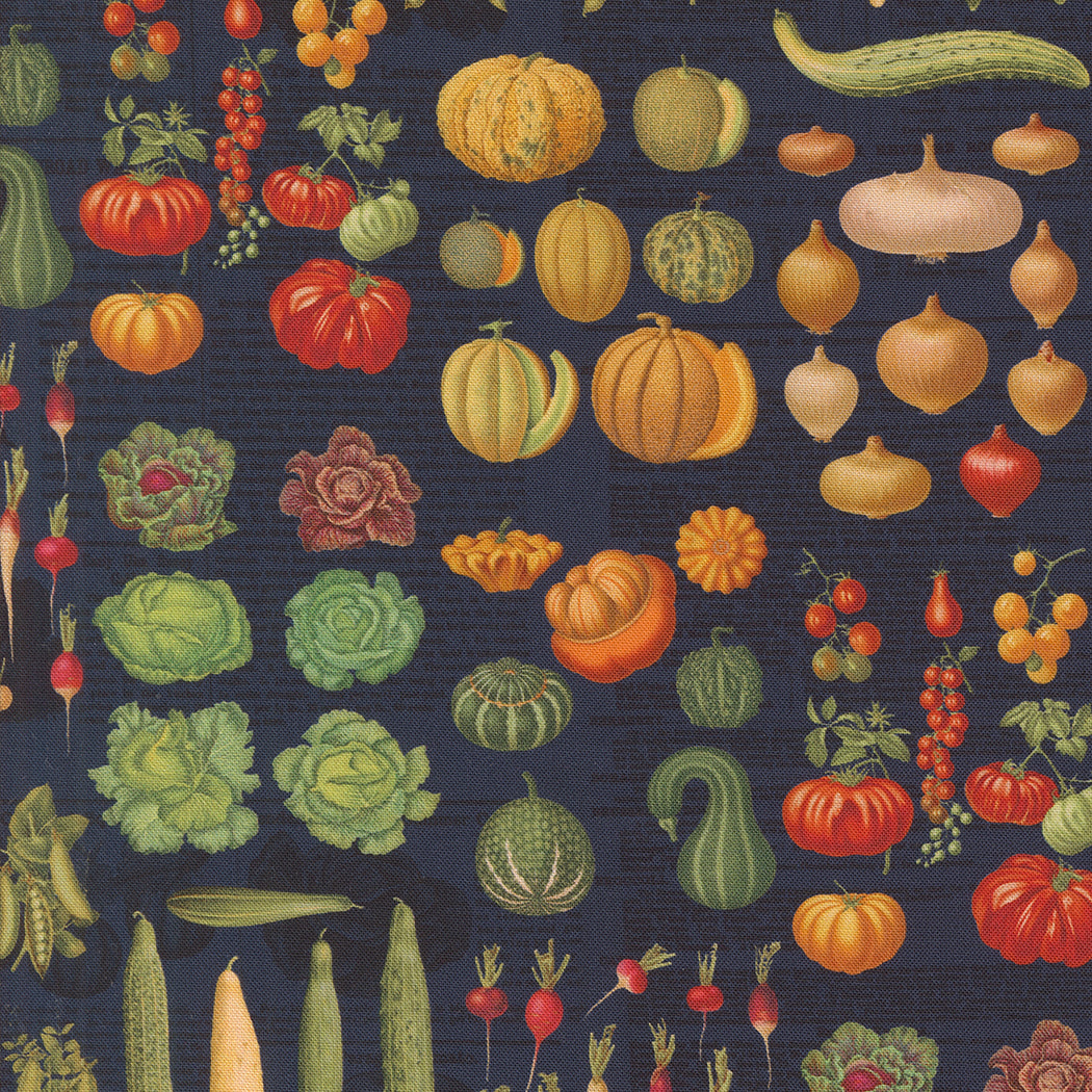 a bunch of different types of vegetables on a black background