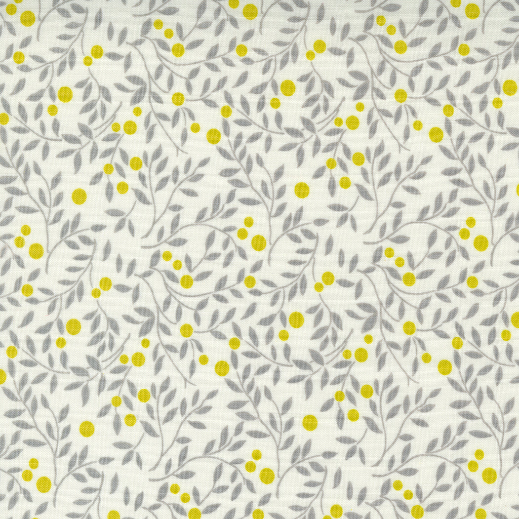 Morning Light - Cloud