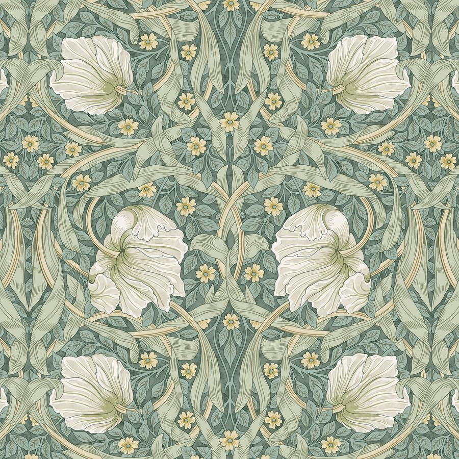 Small Pimpernel - Olive