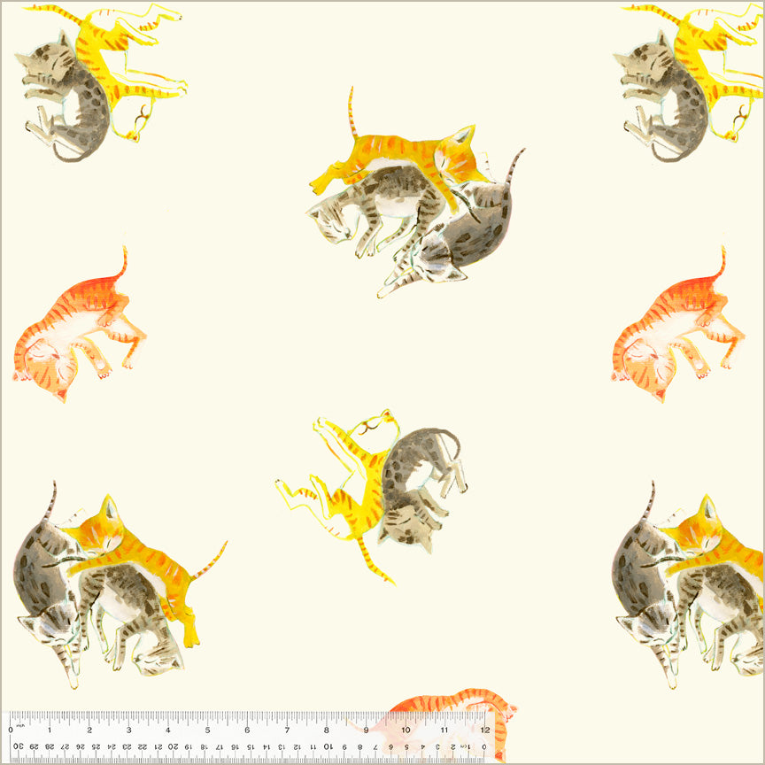 a picture of cats on a white background