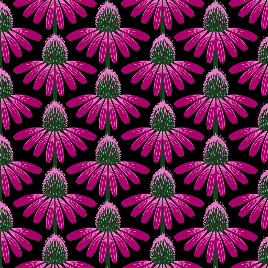 Echinacea - Ruby CL