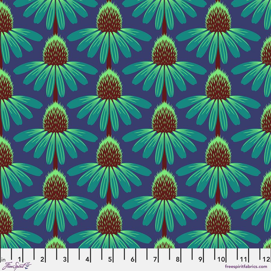 Echinacea - Sea Blue CL