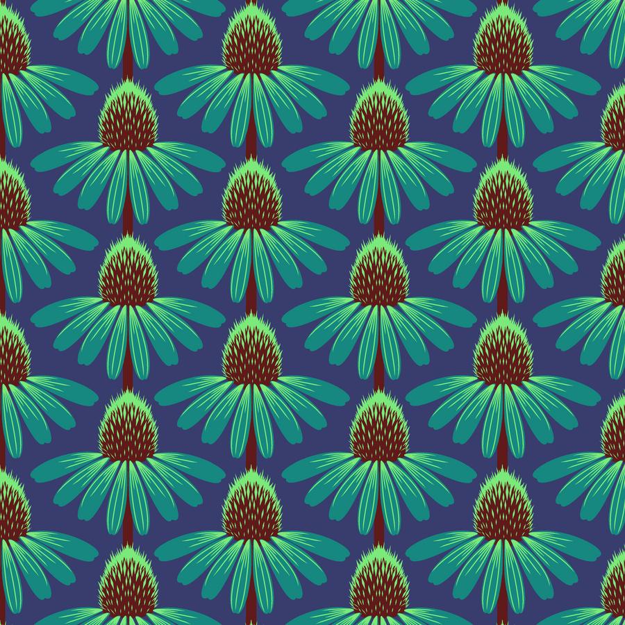 Echinacea - Sea Blue CL