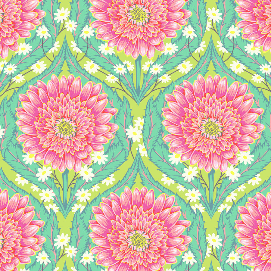 Daisy & Confused - Moonbeam