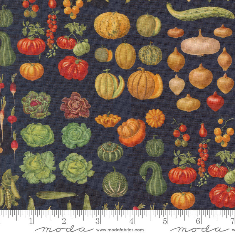 a picture of a bunch of vegetables on a blue background
