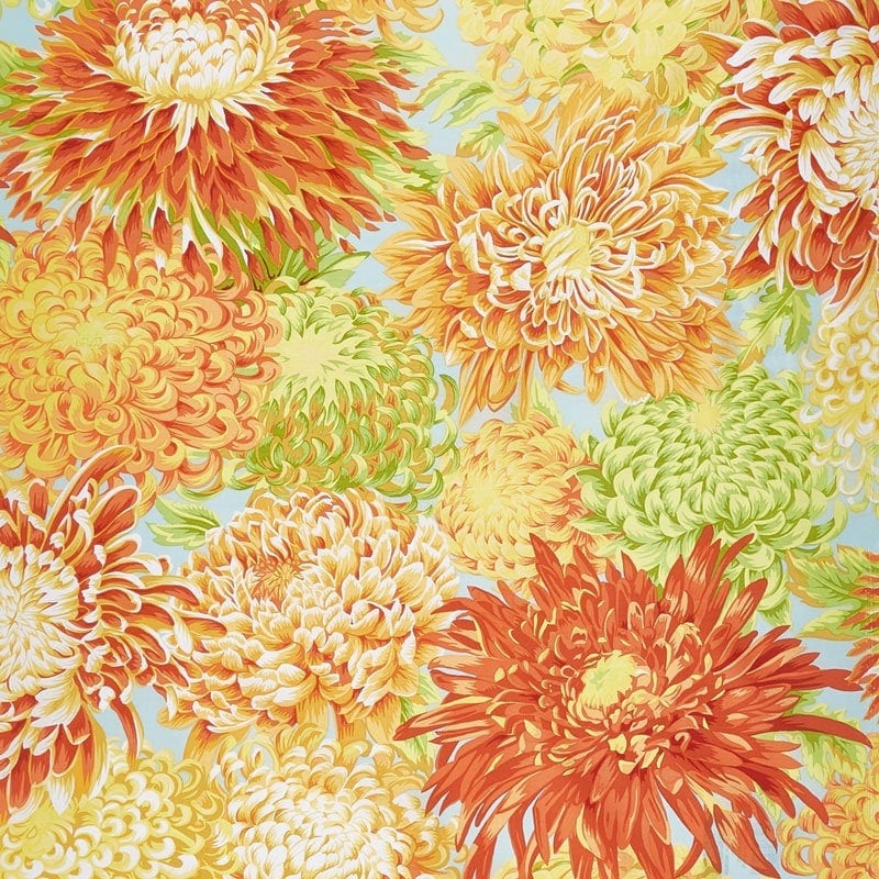 Japanese Chrysanthemum - Yellow