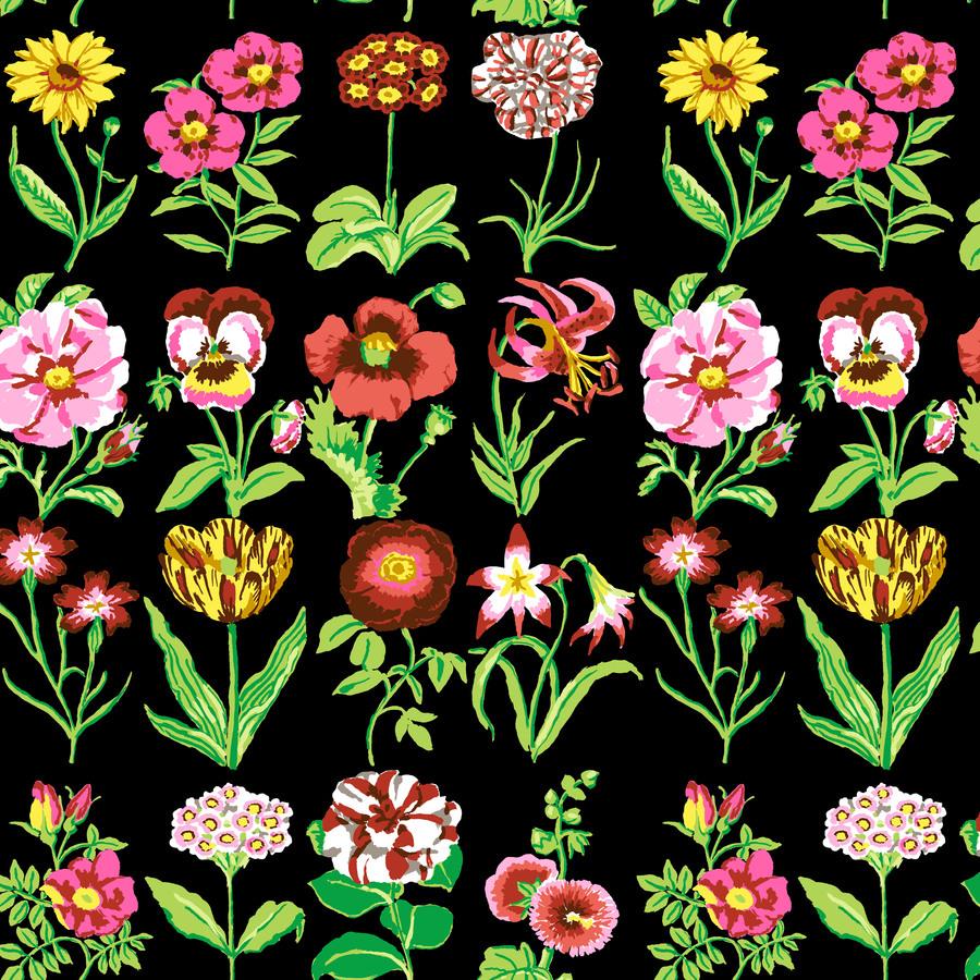 a bunch of flowers that are on a black background