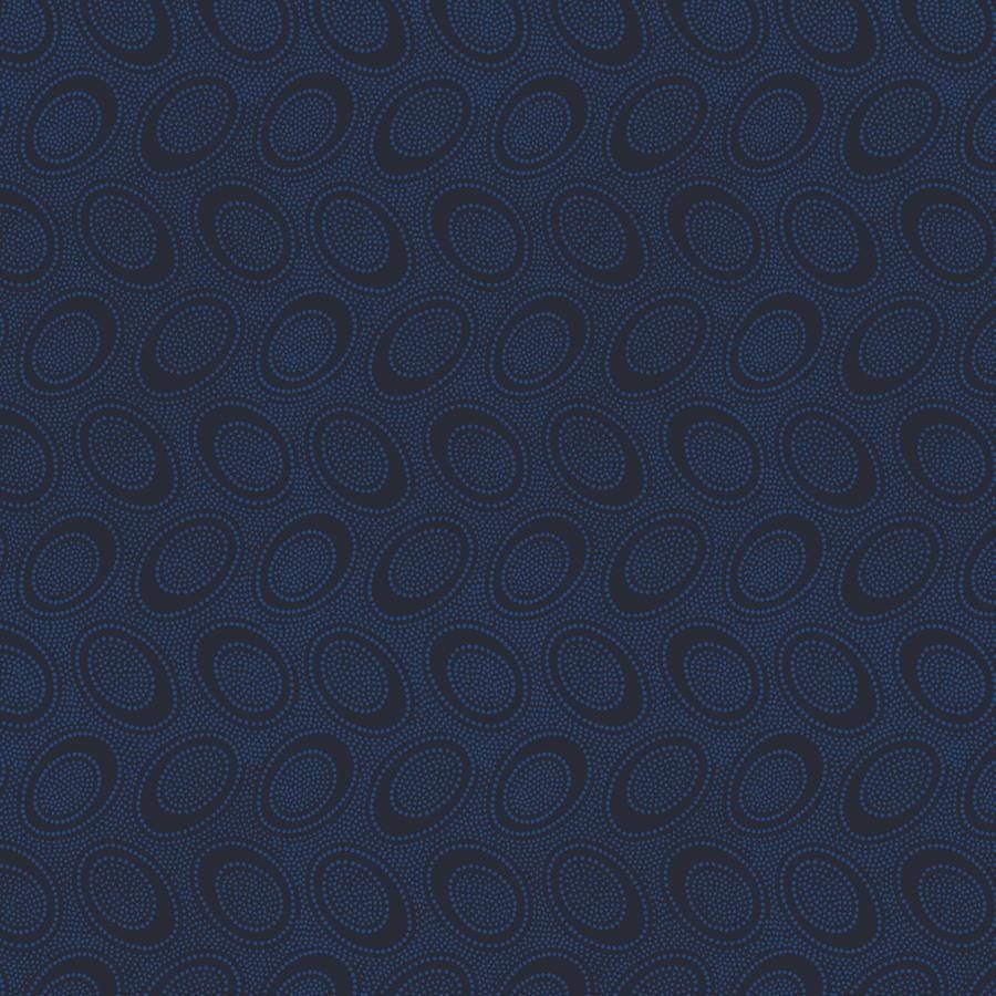 a dark blue background with black circles
