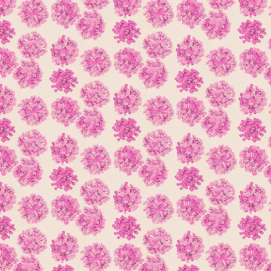 a pattern of pink flowers on a white background