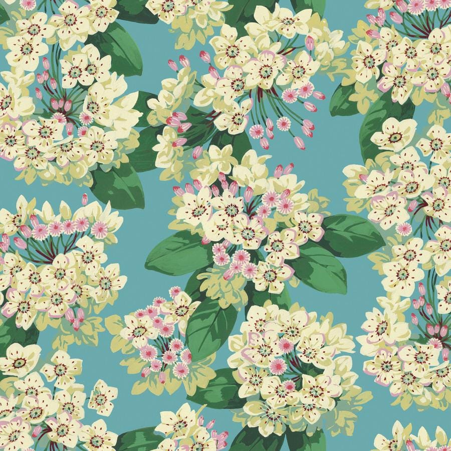 a blue background with white and pink flowers