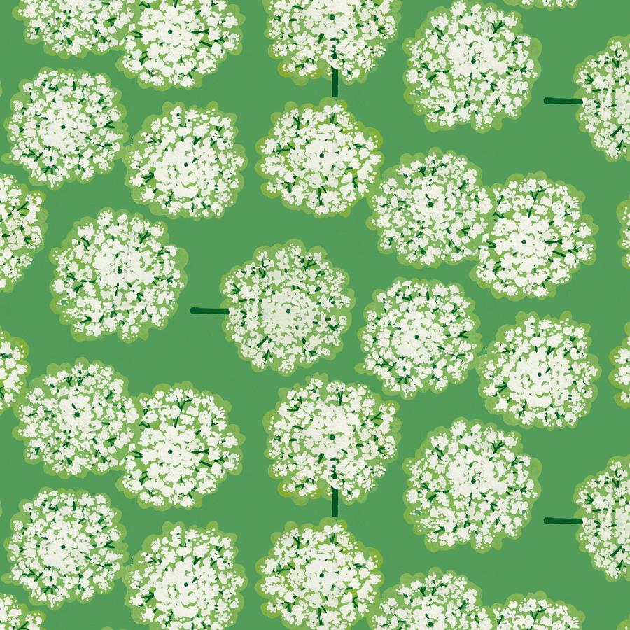 a bunch of white flowers on a green background