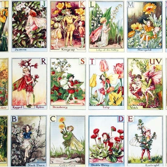 Flower Fairies - Panel