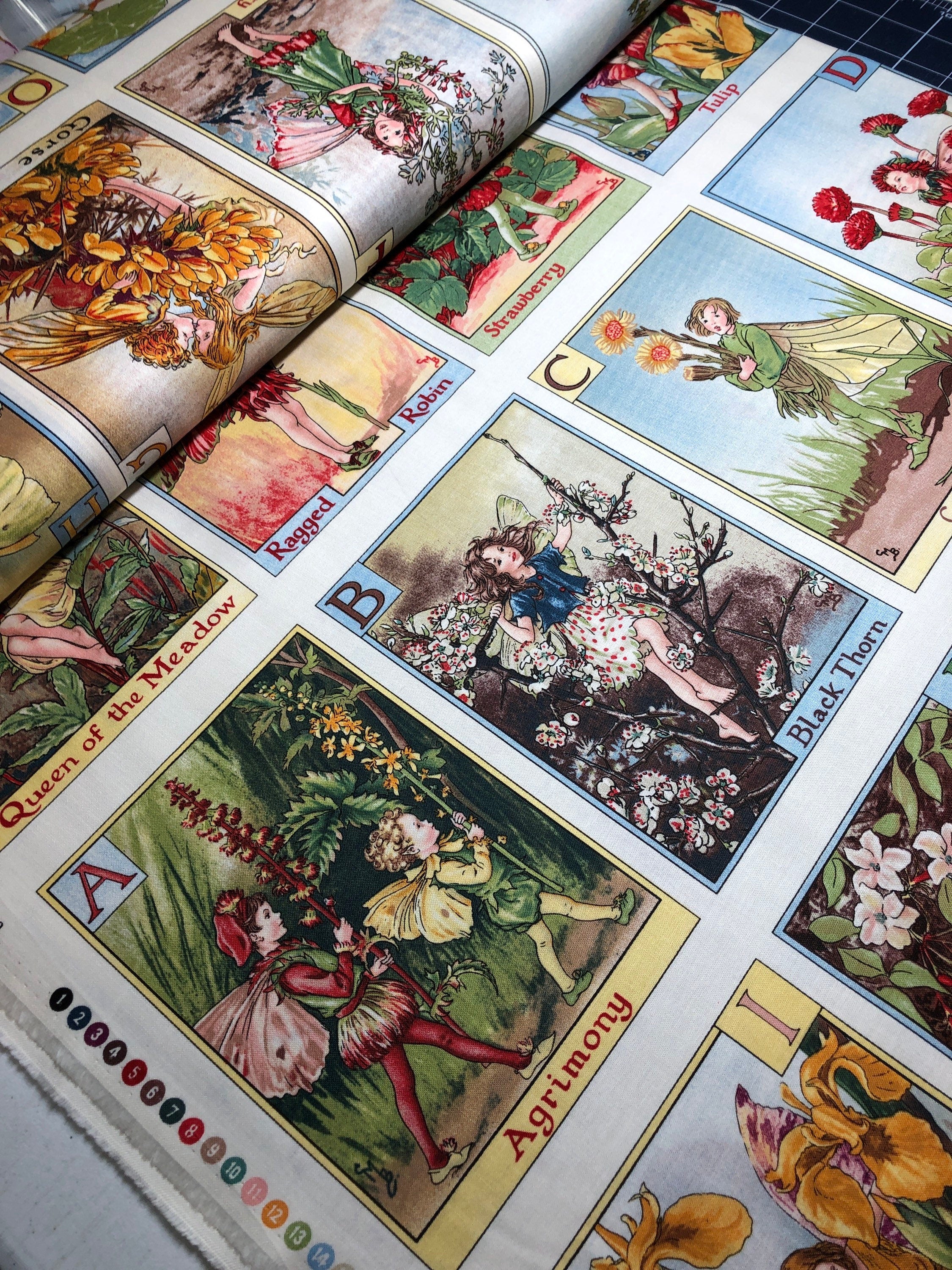 Flower Fairies - Panel