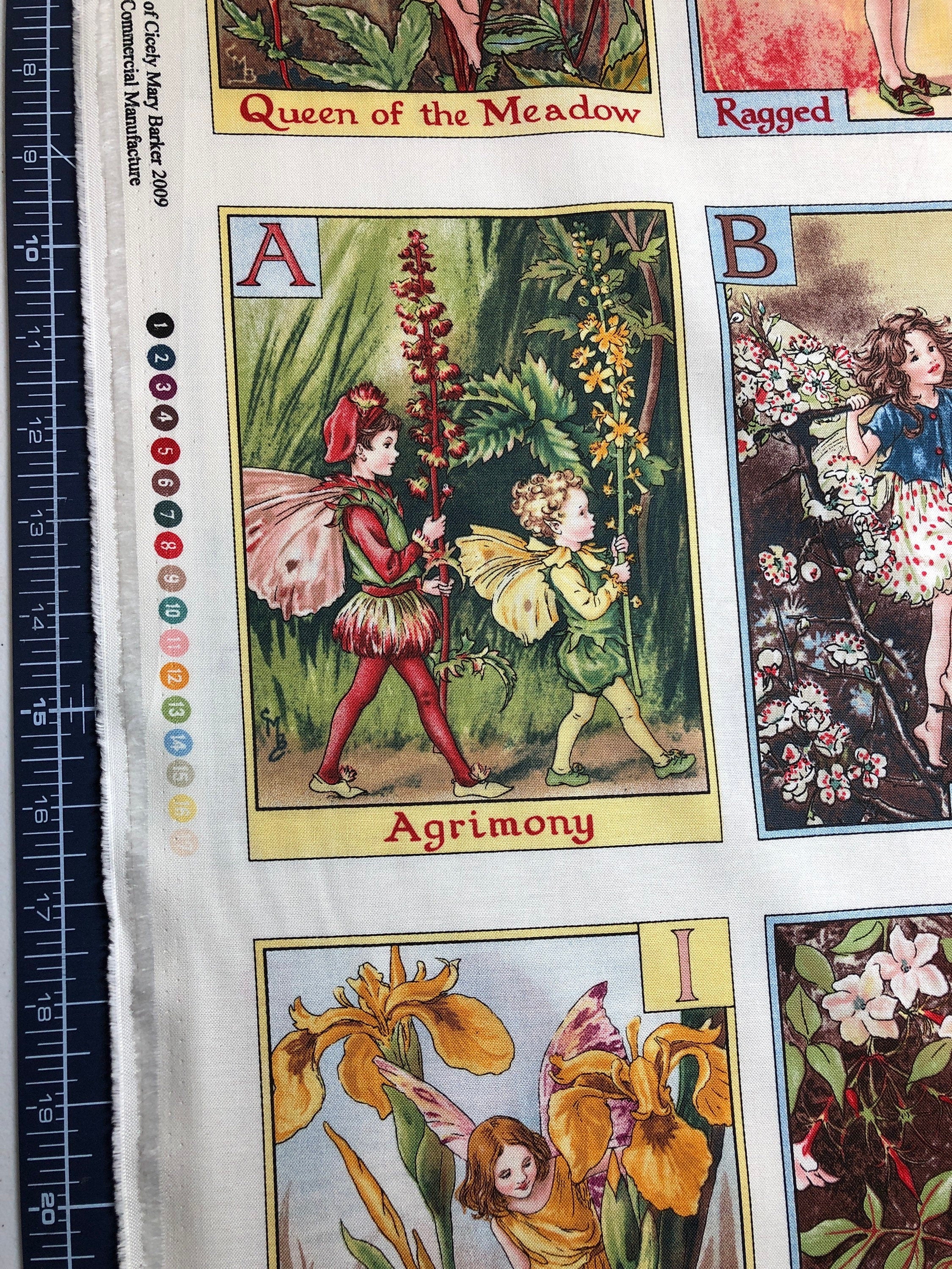 Flower Fairies - Panel