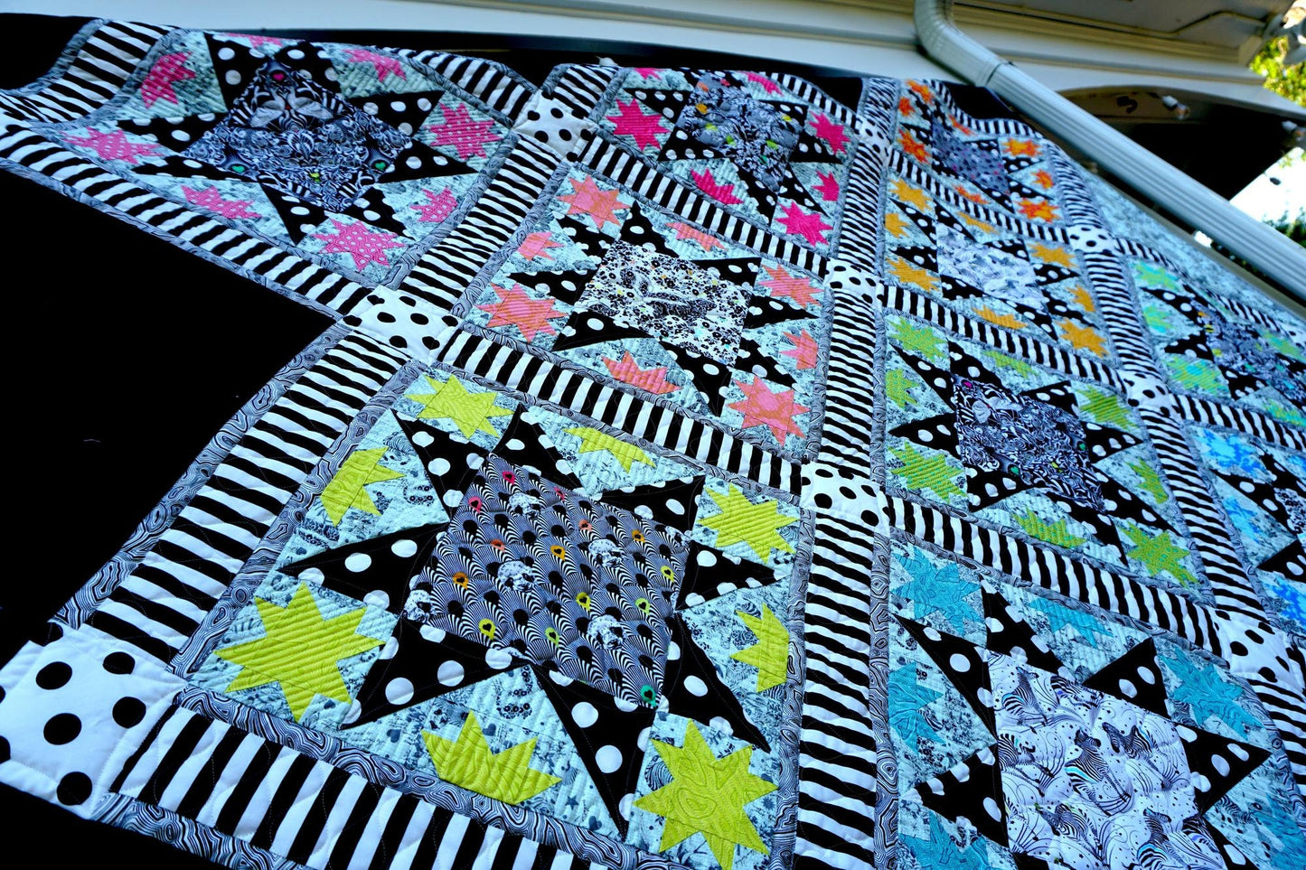 Pom Poms Paper PWTP118 Tula Pink Linework, Free Spirit Fabrics, Quilt Fabric, Cotton Fabric, Quilting, Black Polka Dot, Fabric By The Yard