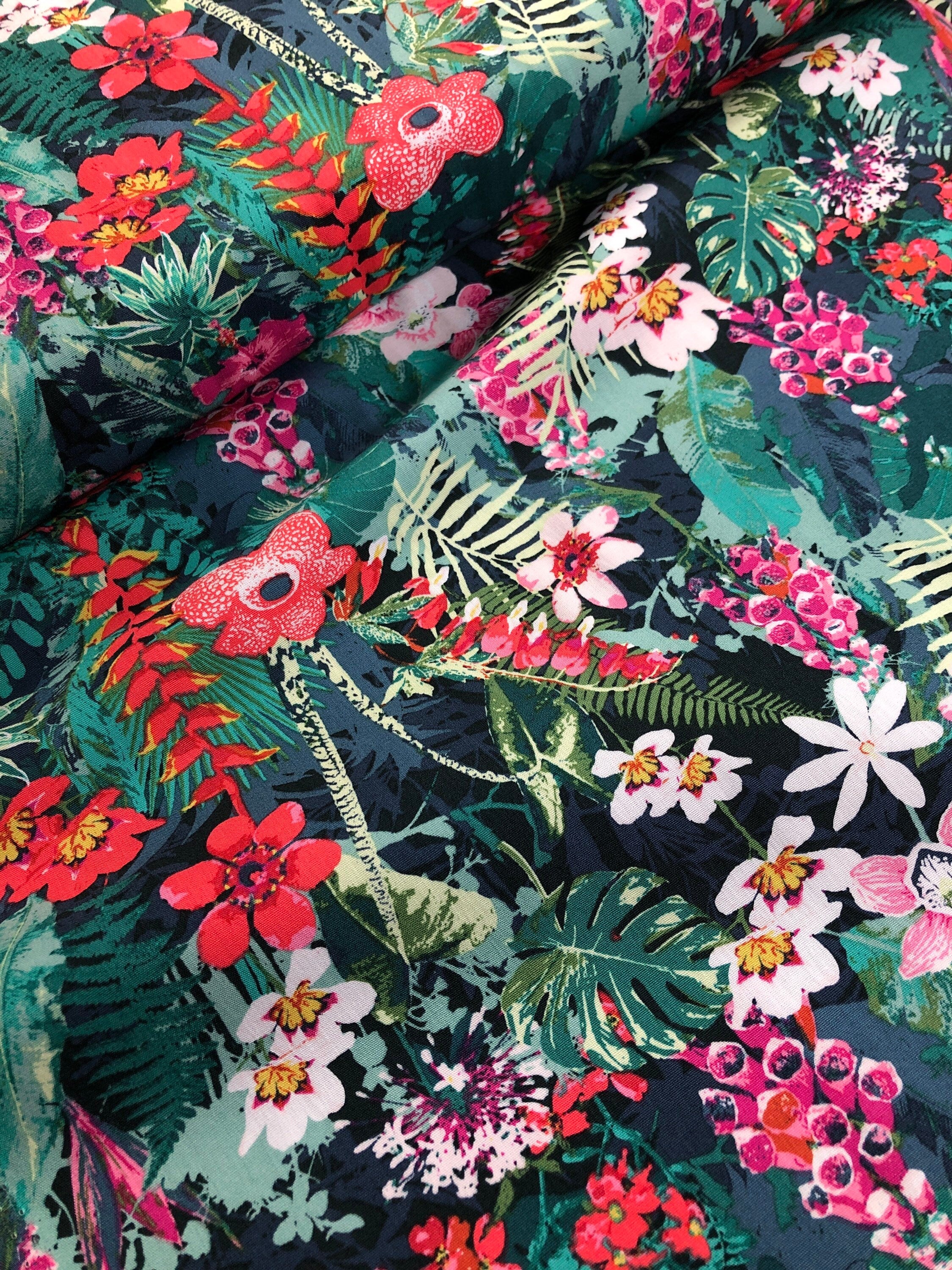 Lush Rainforest