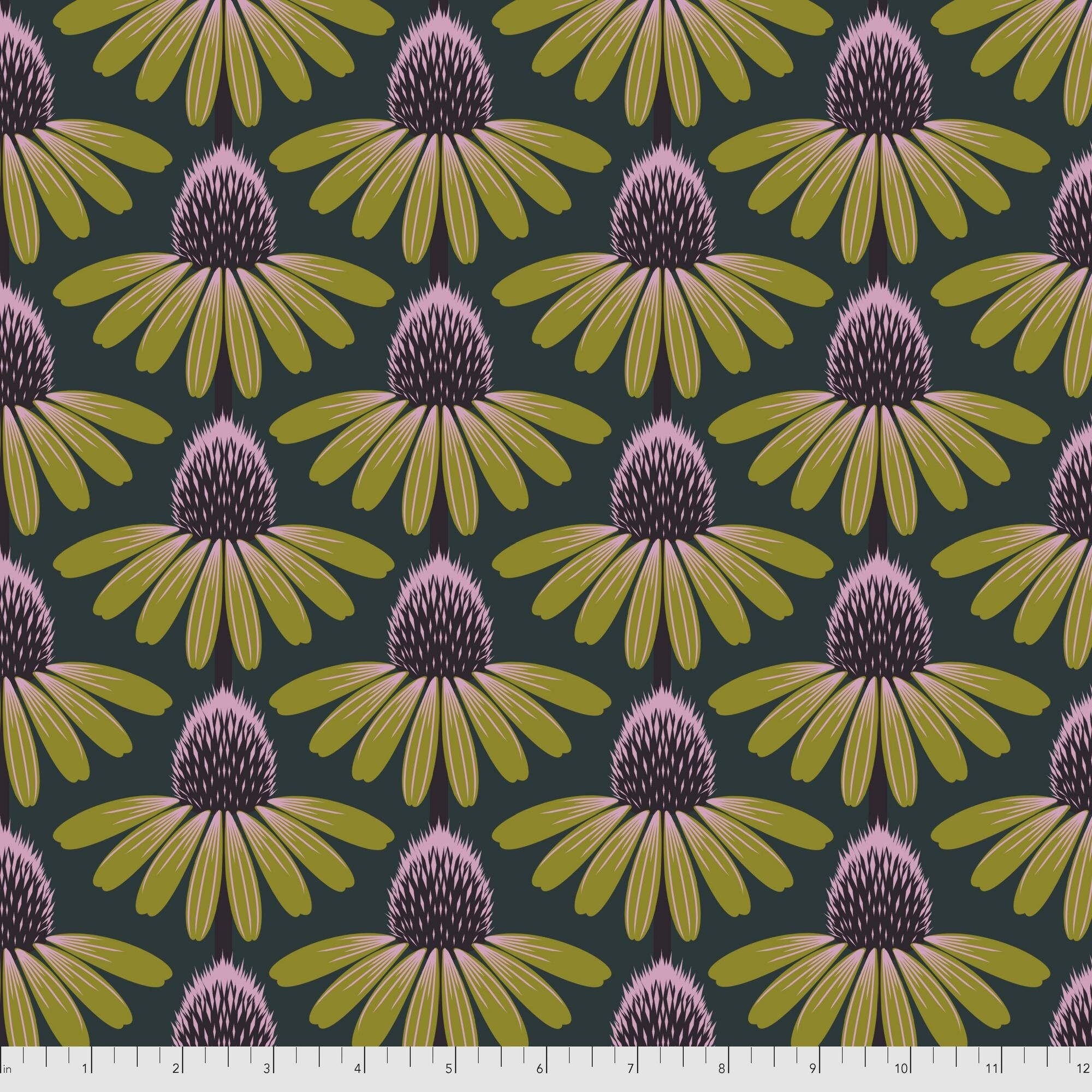 Echinacea - Seaweed