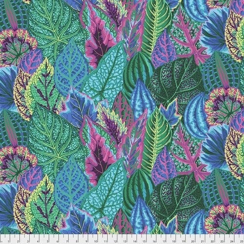 Coleus - Turquoise