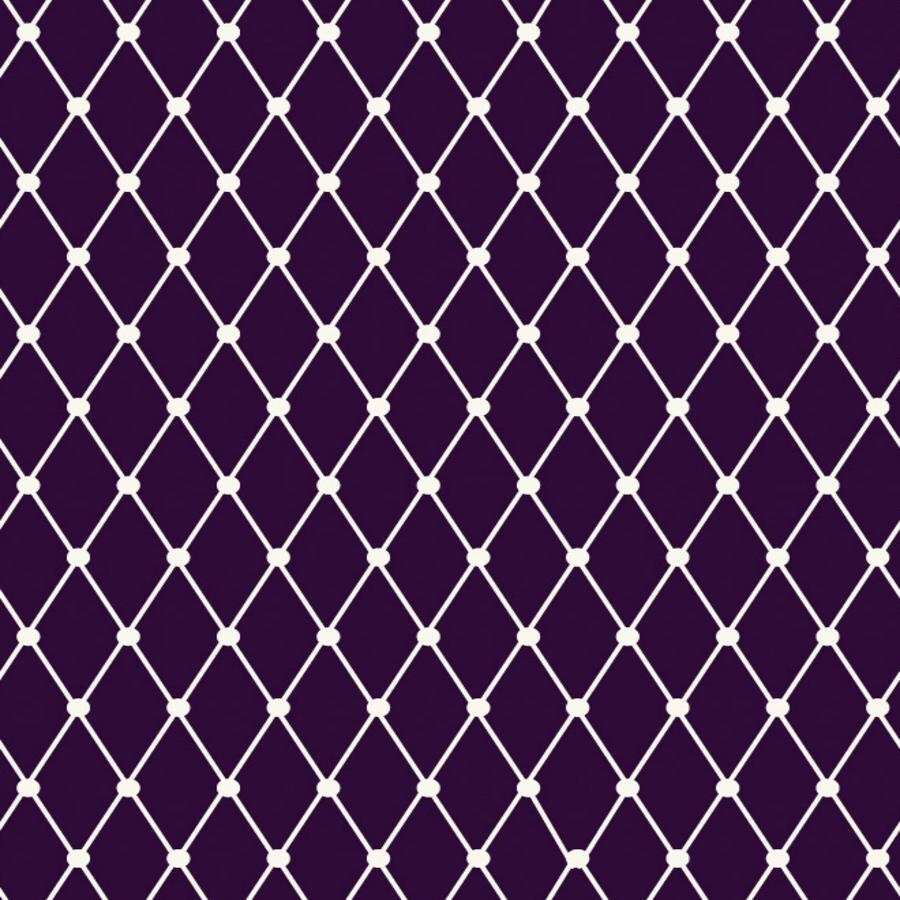 Fishnet - Equinox