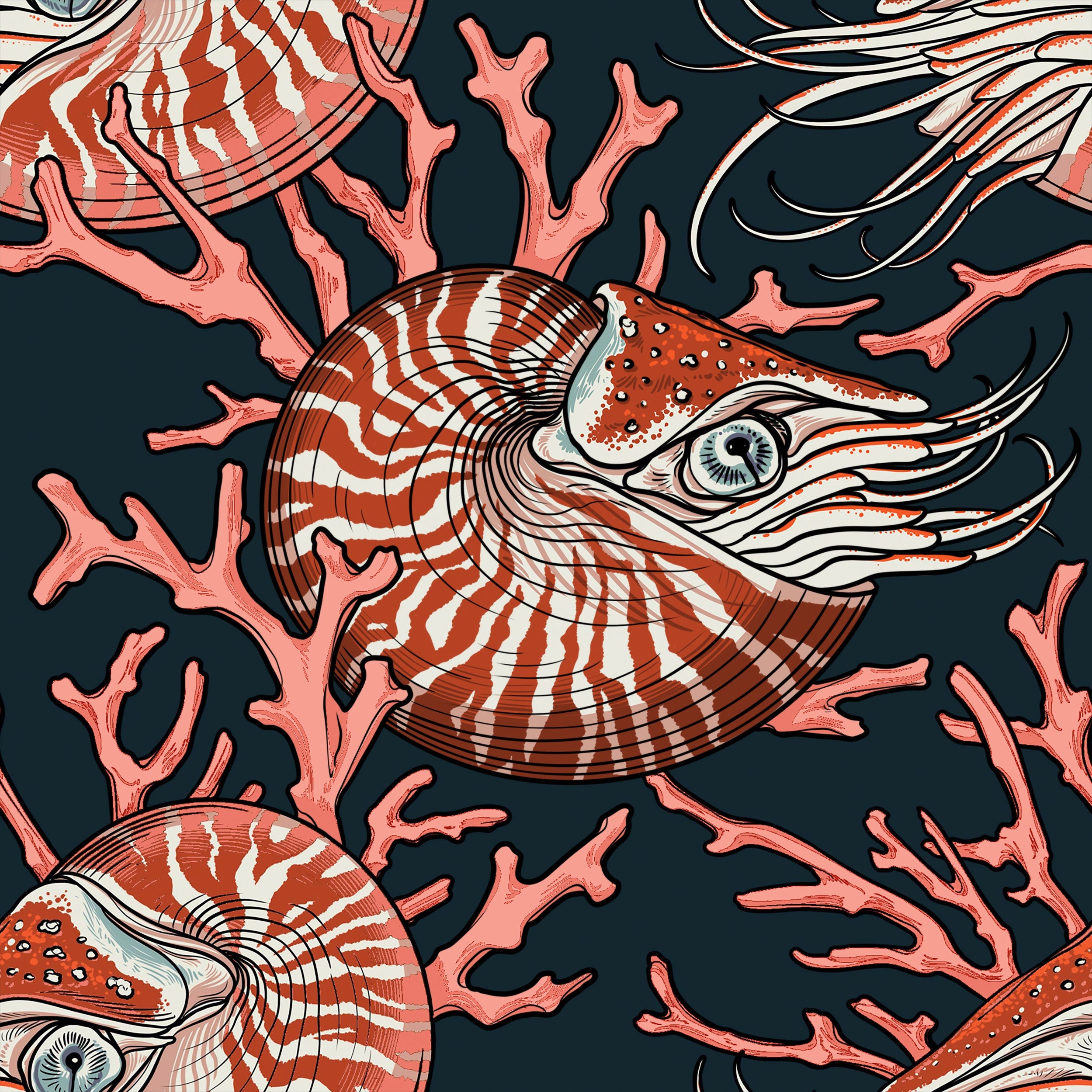 Noble Nautilis
