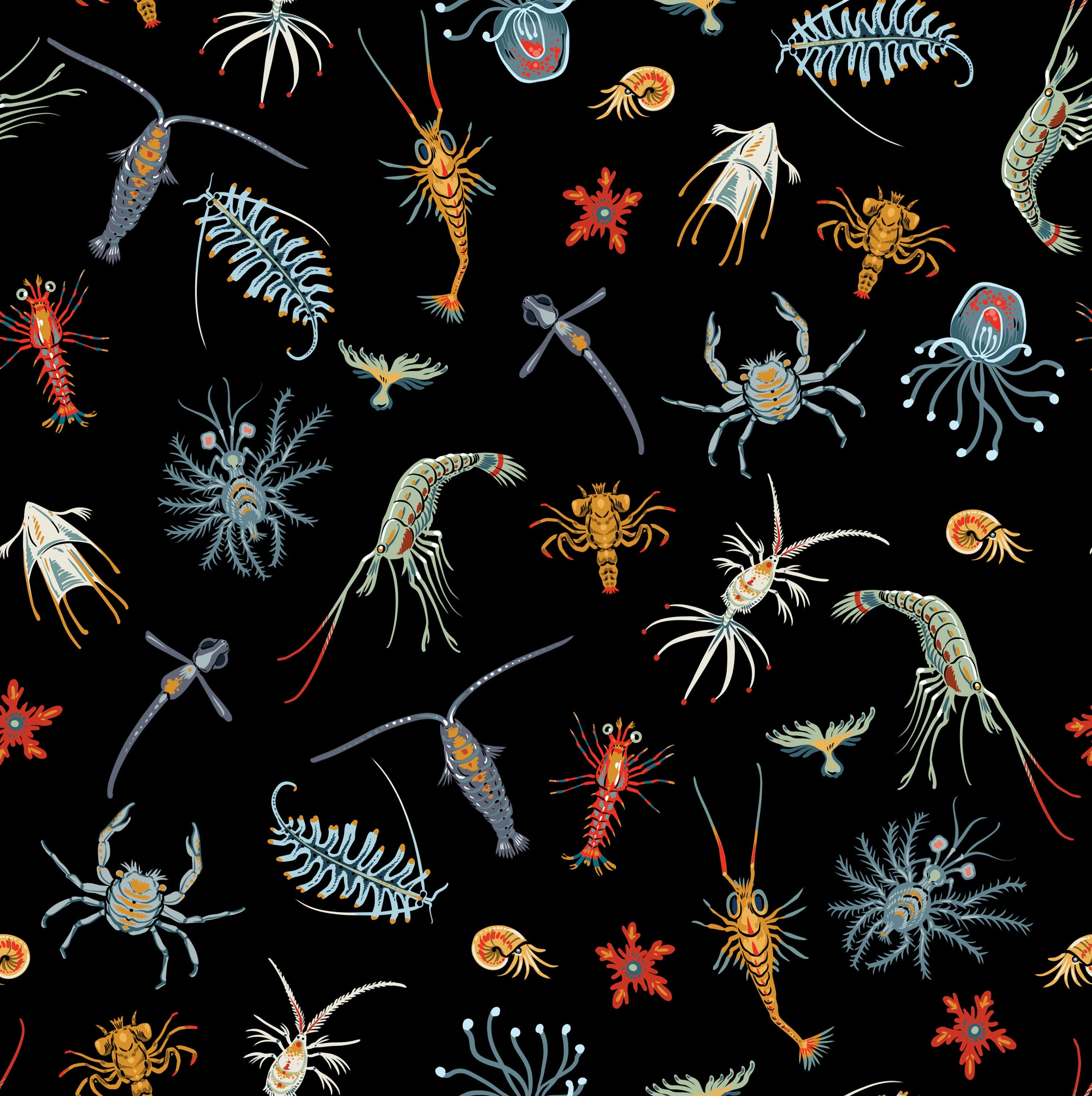 Plankton Party