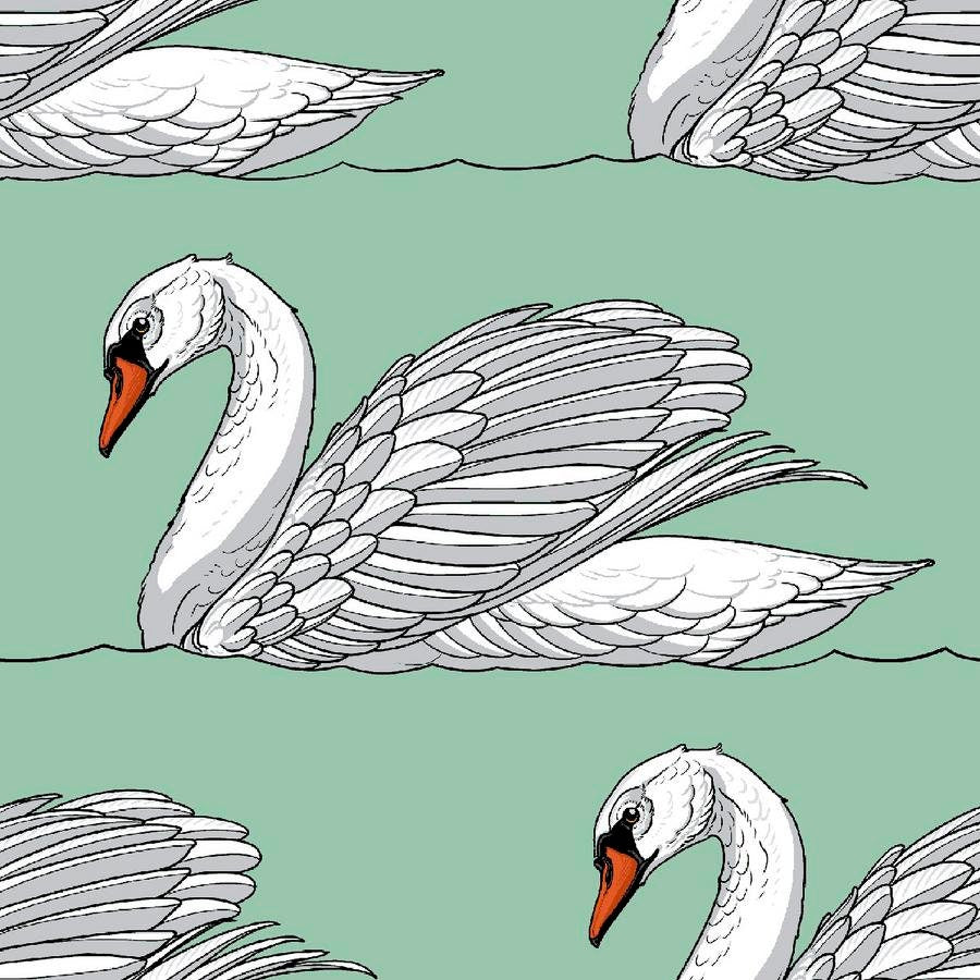 Swan Lake