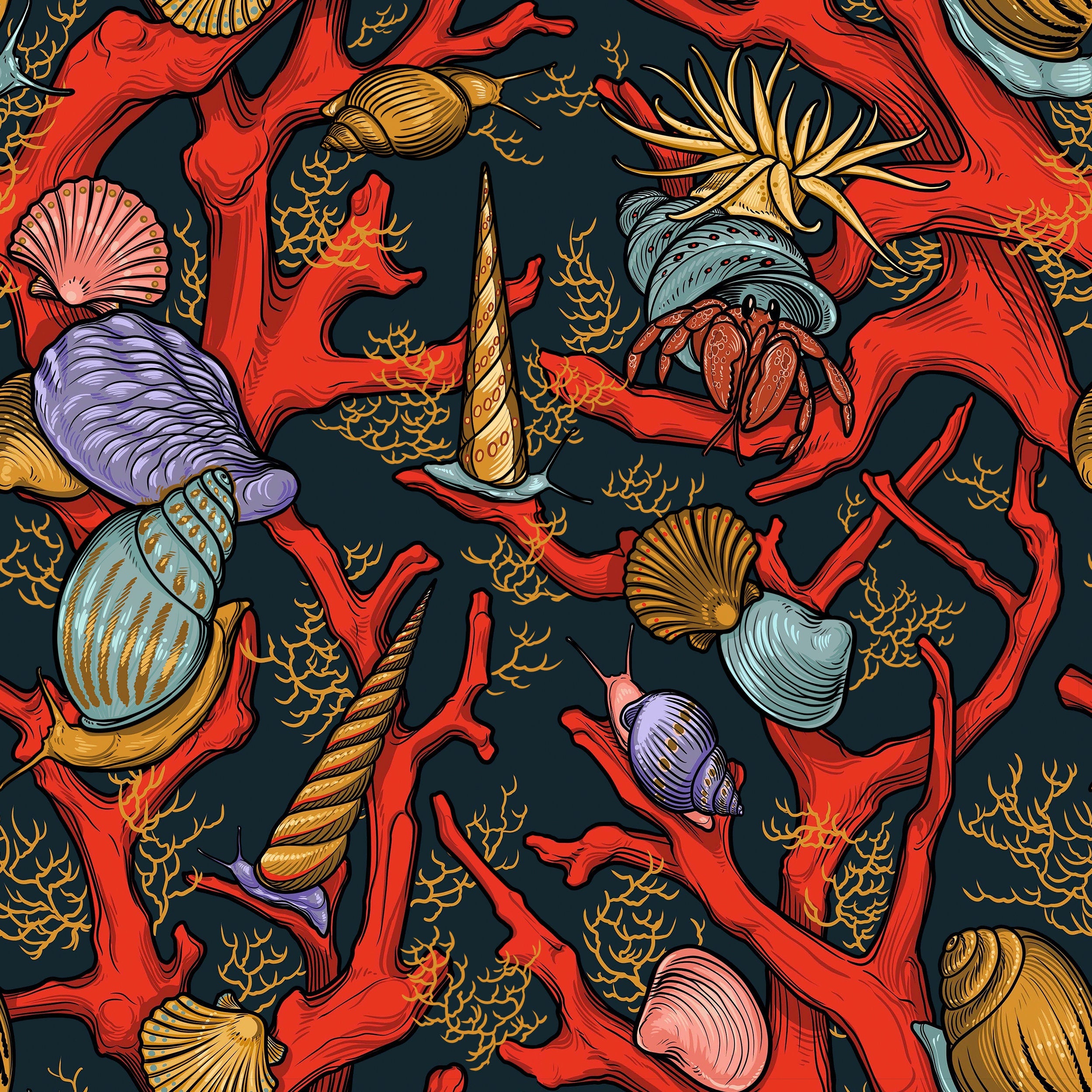 Coral Critter