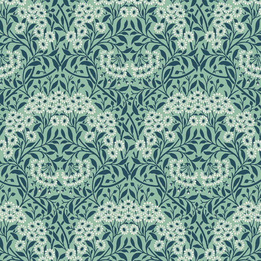 Michaelmas Daisy - Mint