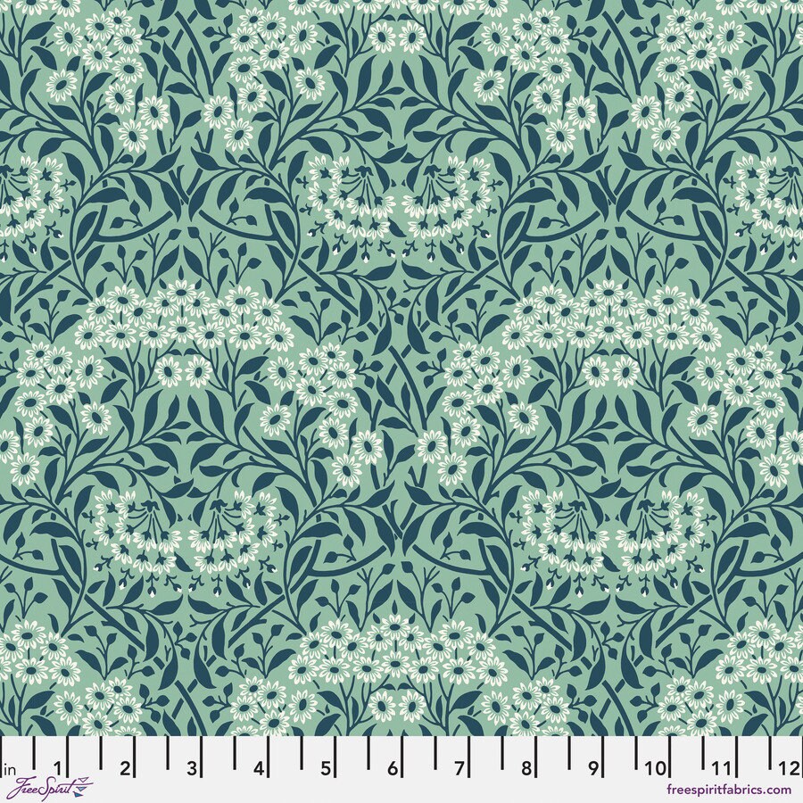 Michaelmas Daisy - Mint