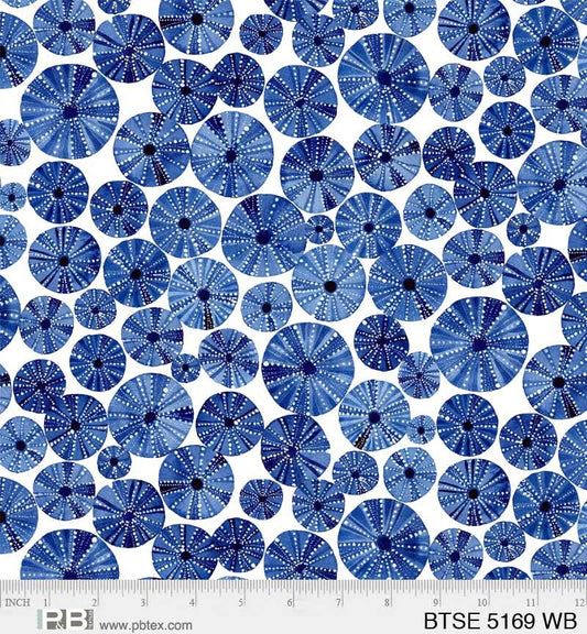 P&B Textiles By the Sea by Maria Over BTSE5169WB White Urchins Quilt Fabric, Cotton Fabric, Nautical Fabric, Beach Decor, Fabric By The Yard