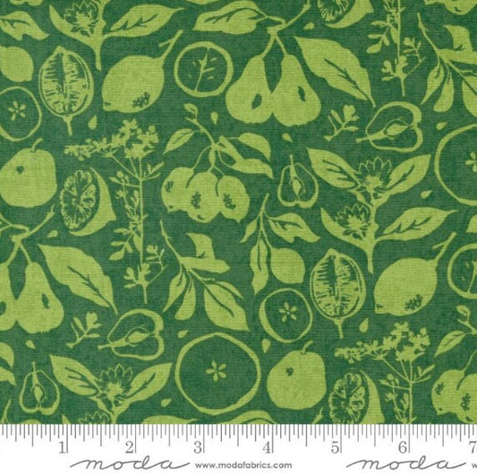 Fruit Loop, BasicGrey, 30732 17, Grass, Katherine Watson, Moda Fabrics, Quilt Fabric, Quilting Cotton, Green Fabric, Fabric By The Yard