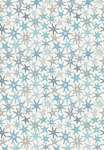 Blue Starfish - Cream