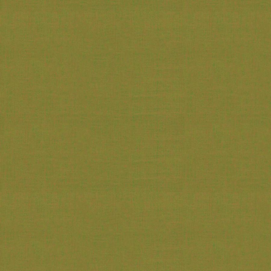 The image is a solid green color with a uniform texture and pattern.