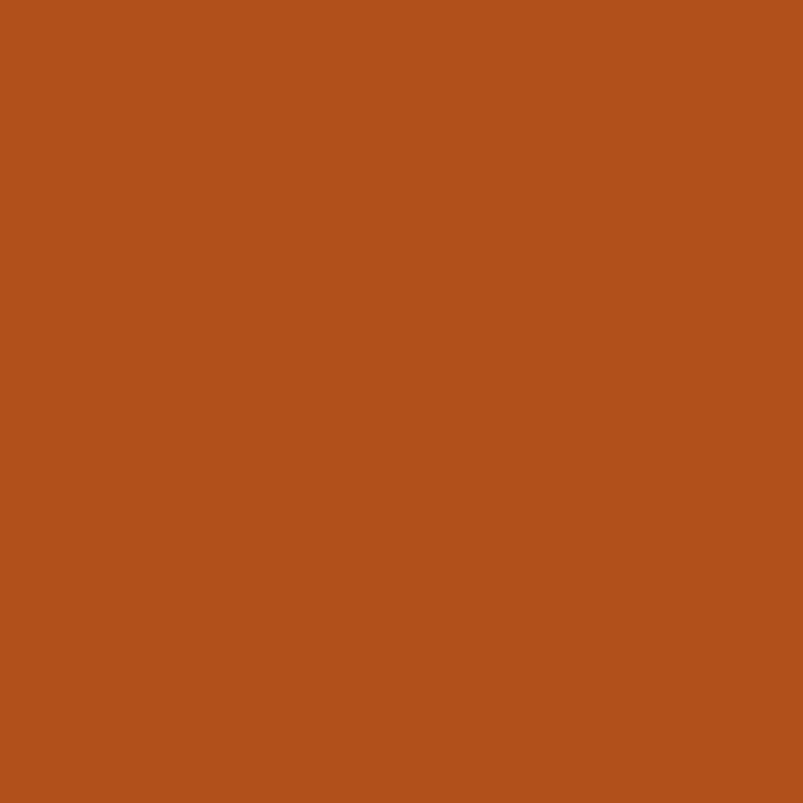 The image is a solid, solid orange color.