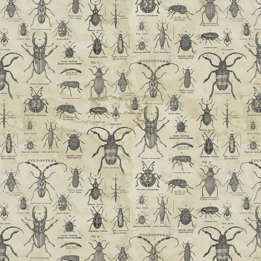 Tim Holtz Specimen Fabric PWTH184 Neutral – Laboratory Print