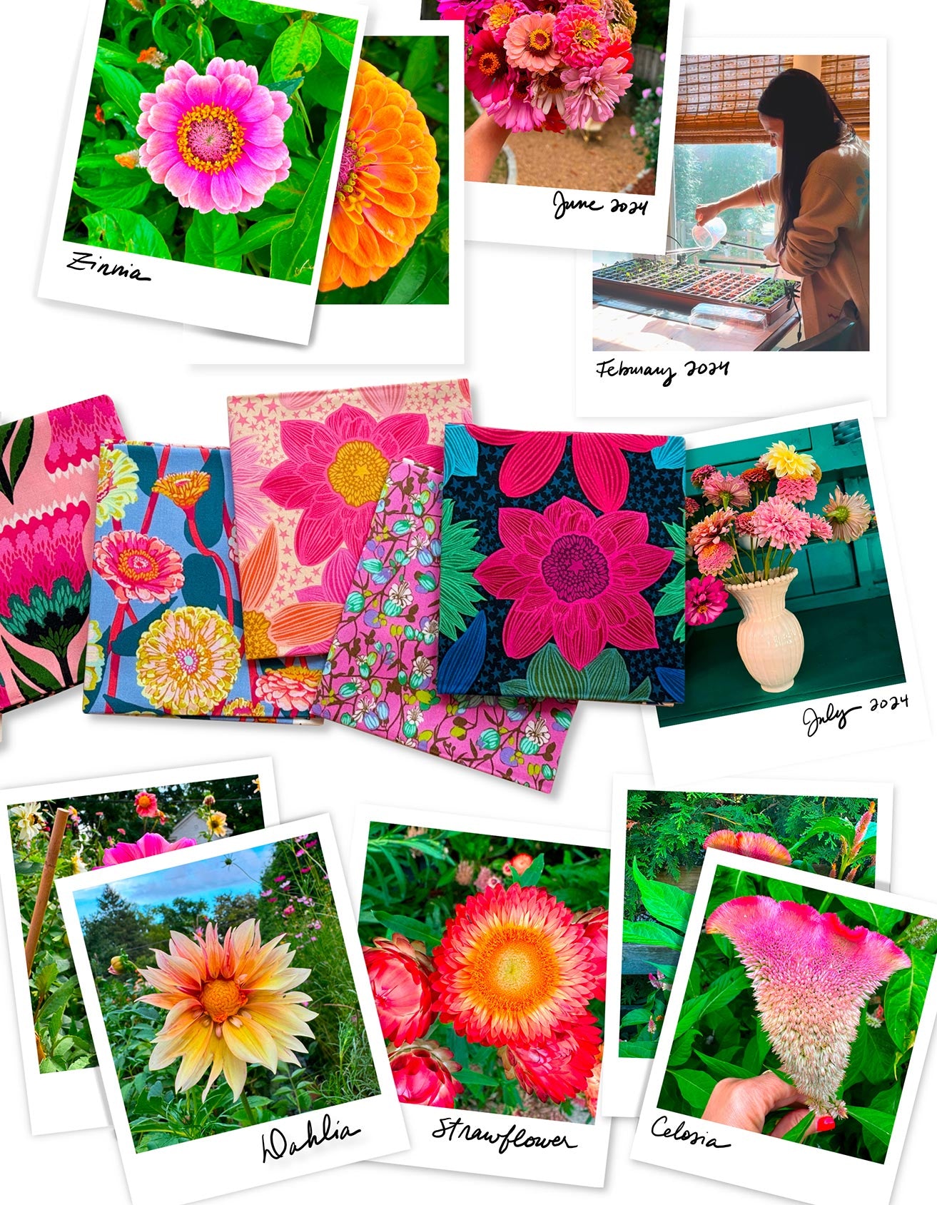 The image is a collage of various colorful photographs featuring different flowers, including daisies, sunflowers, and other vibrant blooms.