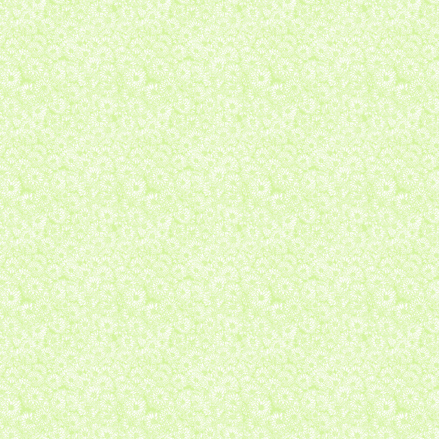The image is a repeating pattern of small white flowers or dots on a light green background.