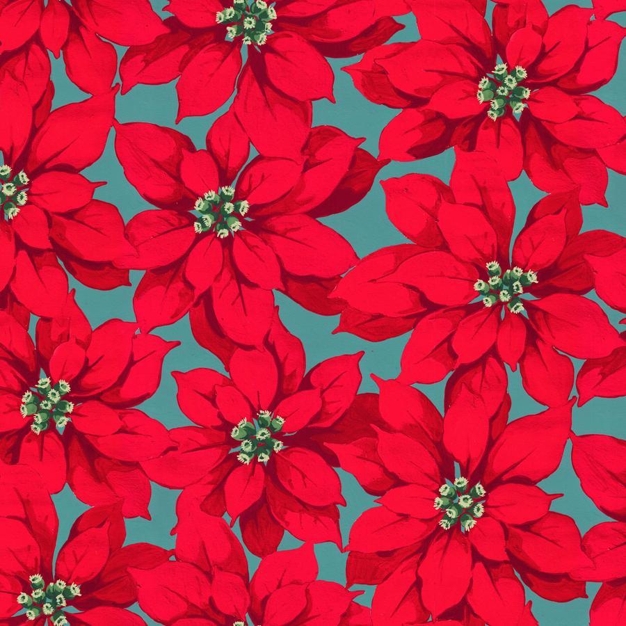 a repeating pattern of vibrant red poinsettia flowers against a teal background.
