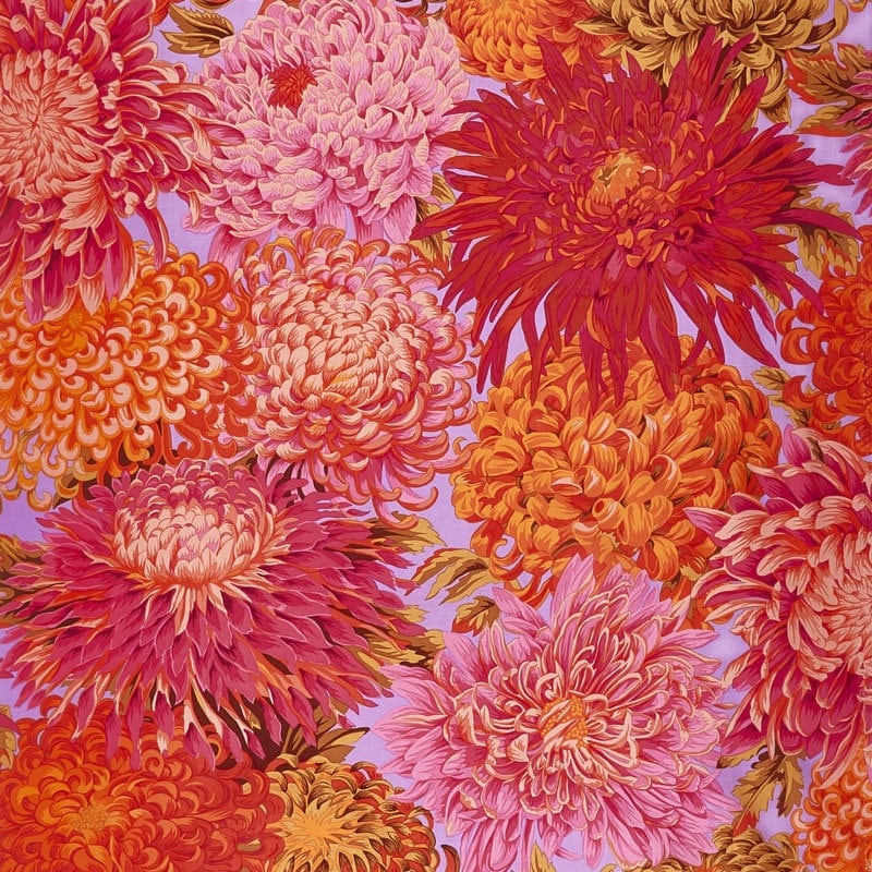 Japanese Chrysanthemum - Pink