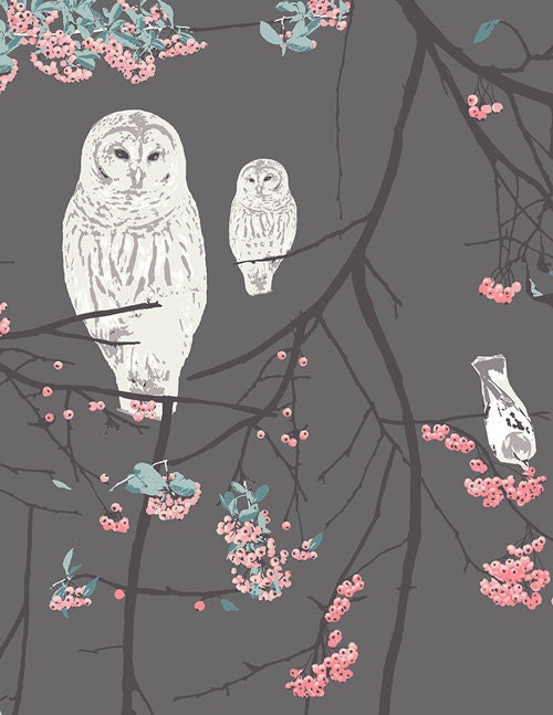 Bird Songs - Moon