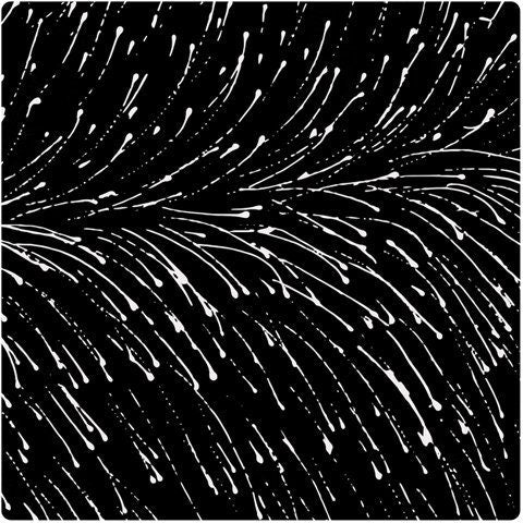 Dropping Seeds - Black