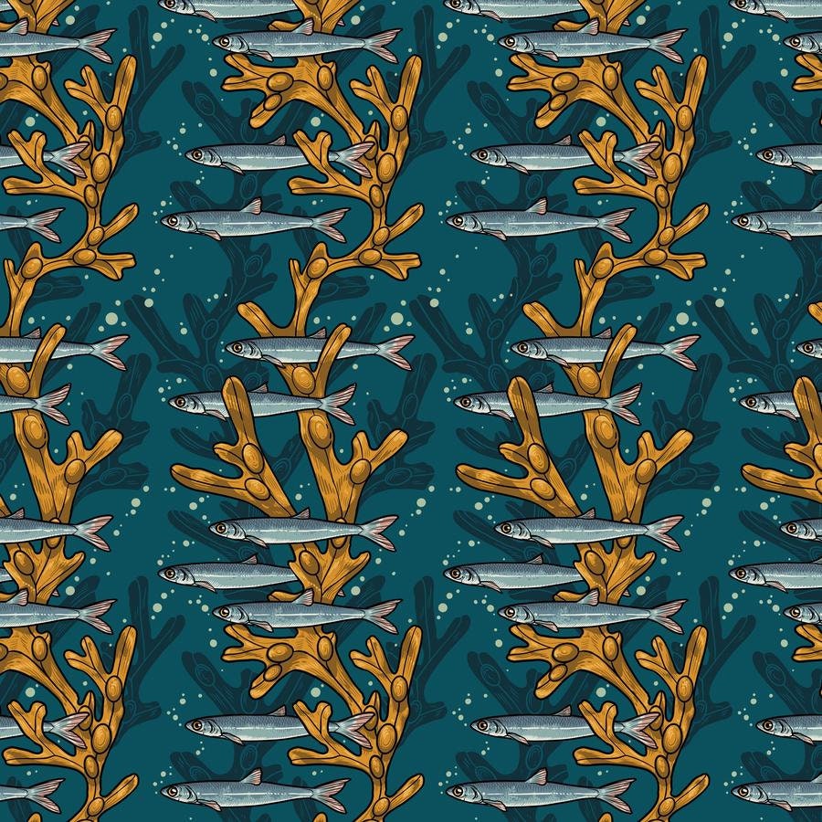 Artful Anchovy