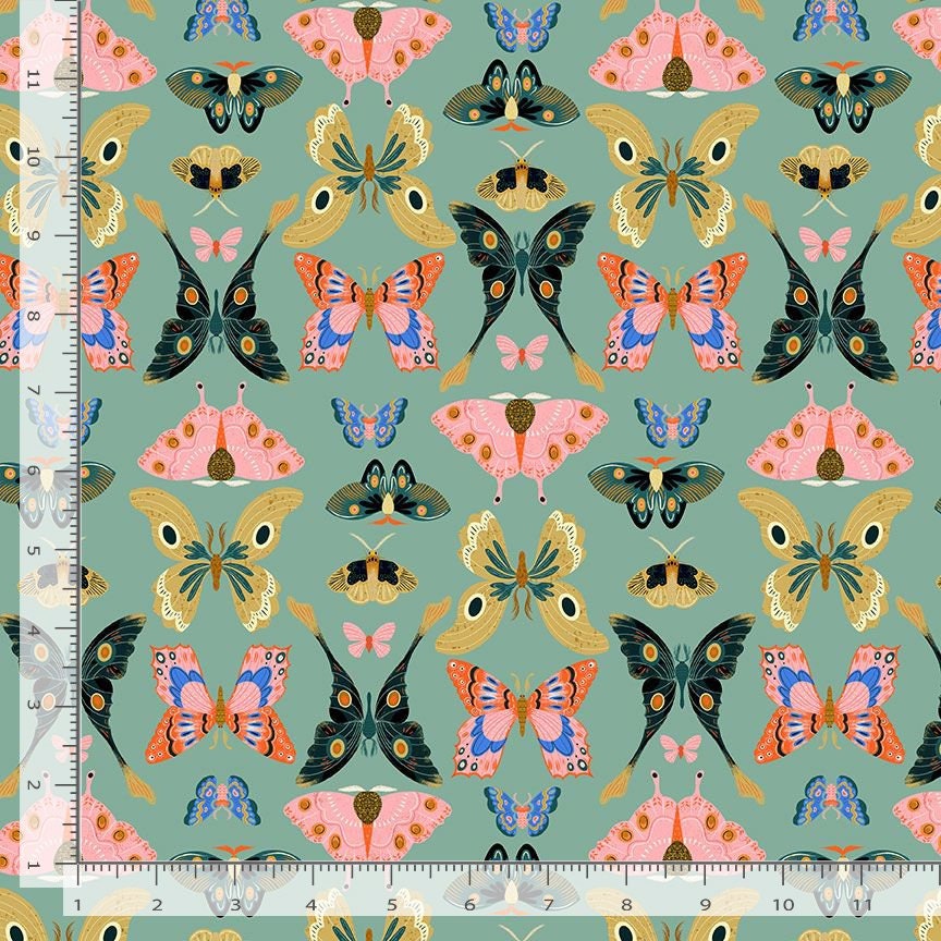 Butterflies - Pasture