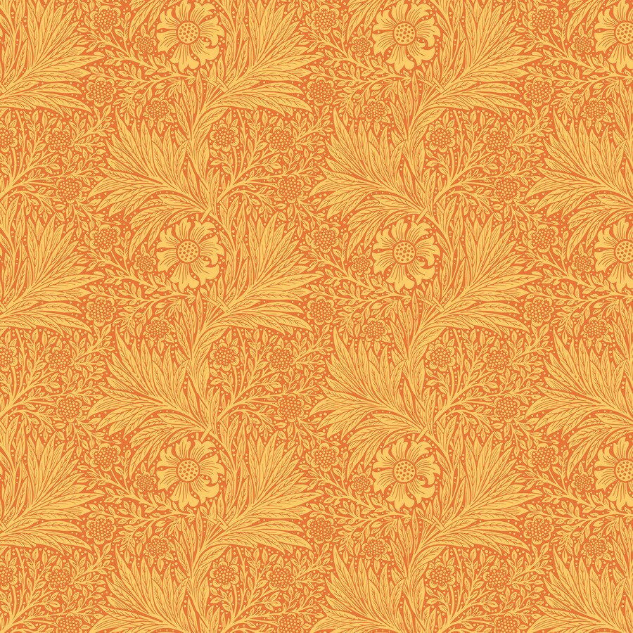 Marigold - Sunshine