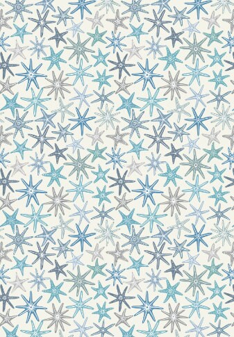 Blue Starfish - Cream